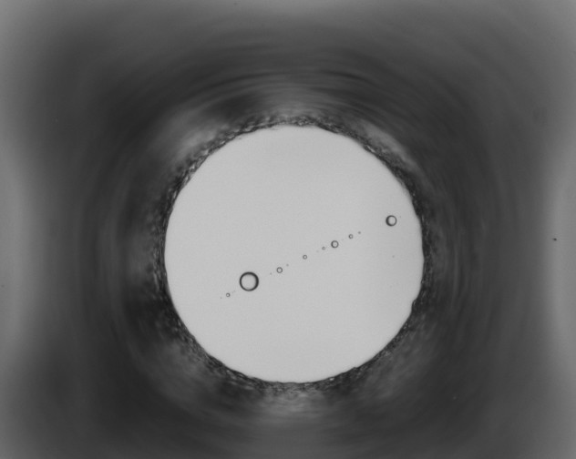 X0000086030824200703230952