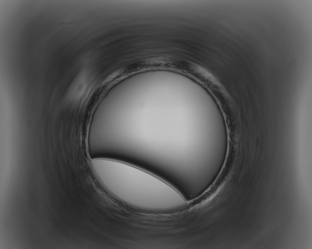 X0000086030825200703230952