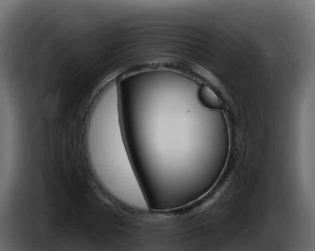 X0000086030826200703230952