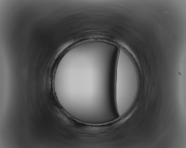 X0000086030829200703230952