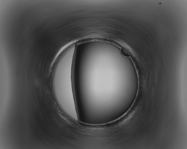 X0000086030830200703230952