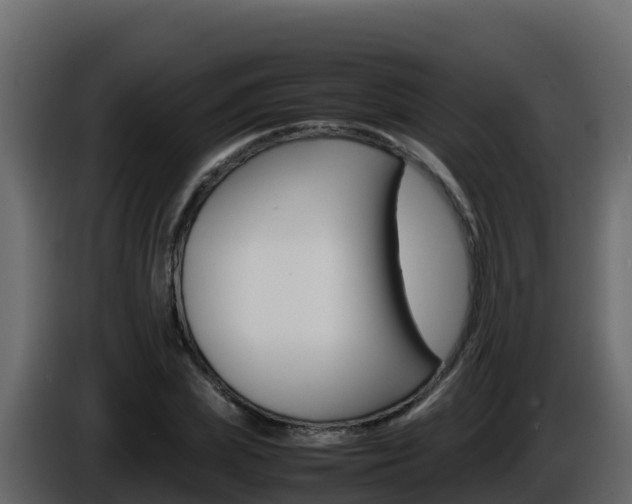 X0000086030831200703230952