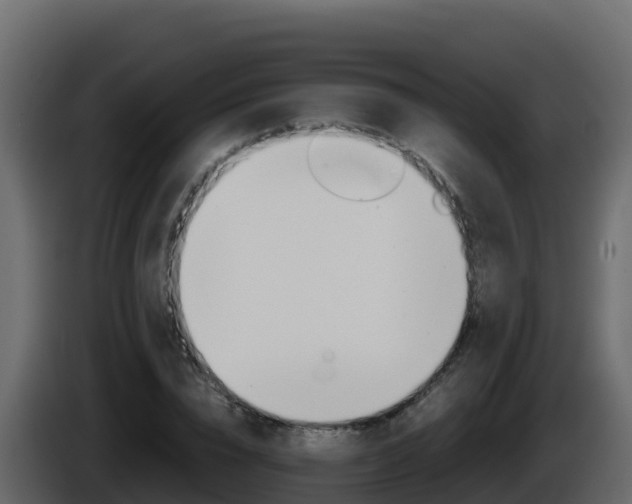 X0000086030832200703230952