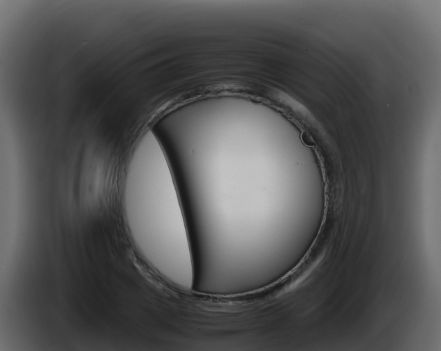 X0000086030833200703230952