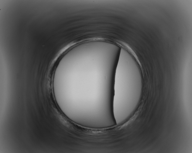 X0000086030835200703230952