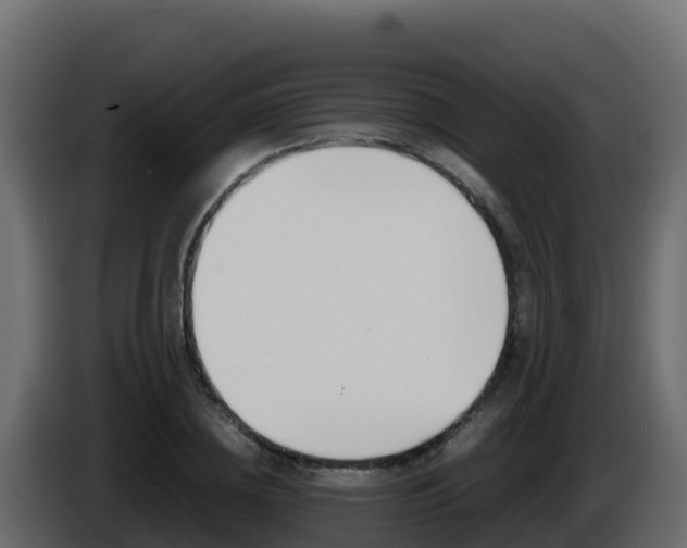 X0000086030836200703230952
