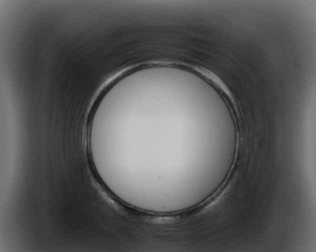 X0000086030839200703230953