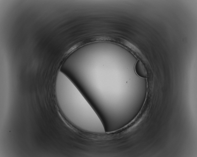 X0000086030841200703230953