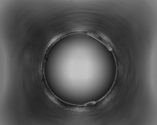 X0000086030842200703230953
