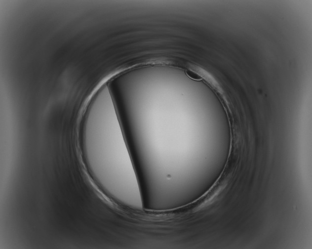 X0000086030843200703230953