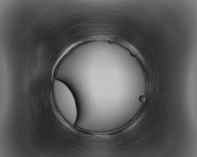 X0000086030844200703230953