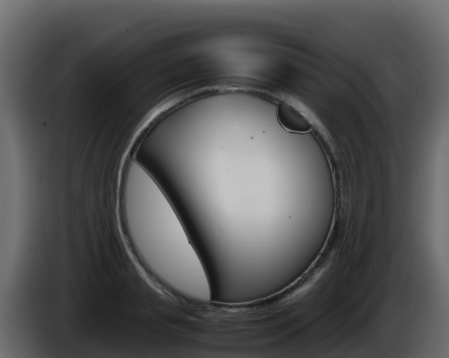 X0000086030845200703230953