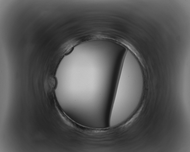 X0000086030849200703230953