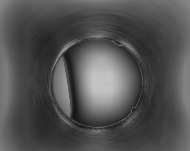 X0000086030850200703230953