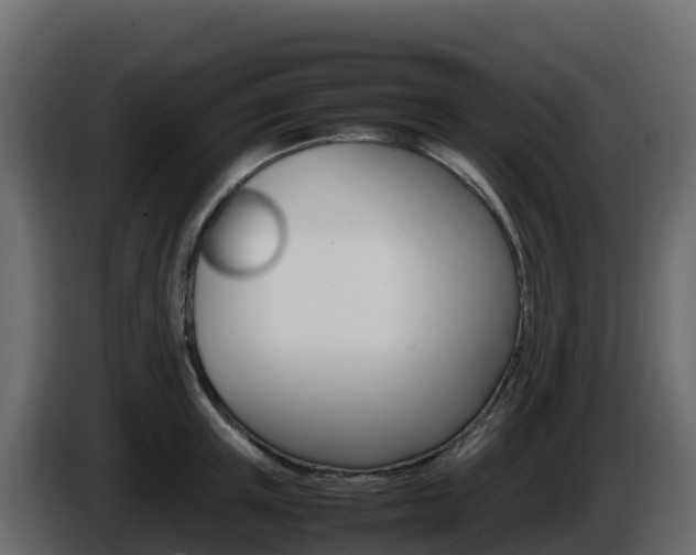 X0000086030851200703230953