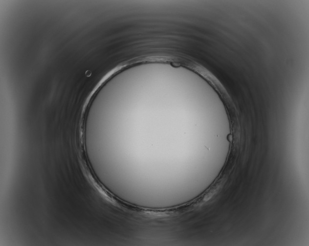X0000086030852200703230953