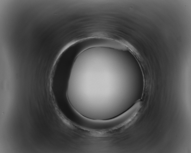 X0000086030854200703230953