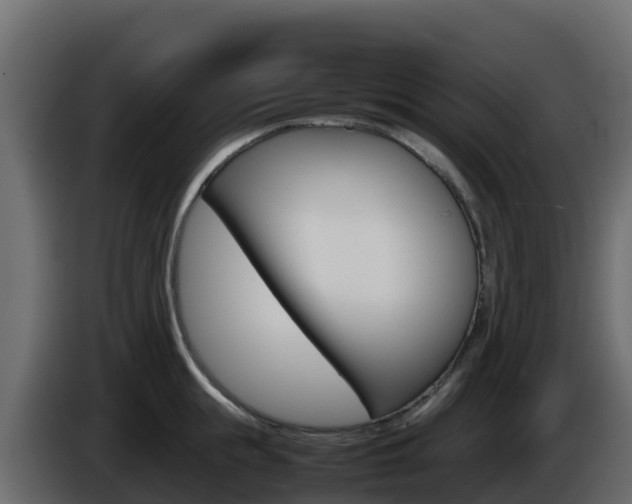 X0000086030855200703230953