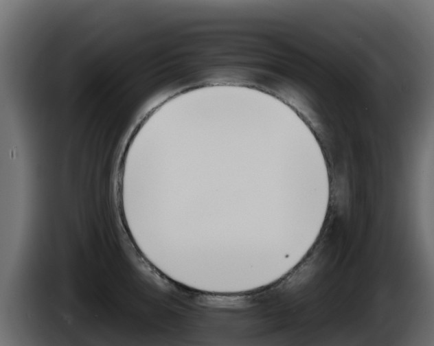 X0000086030856200703230953