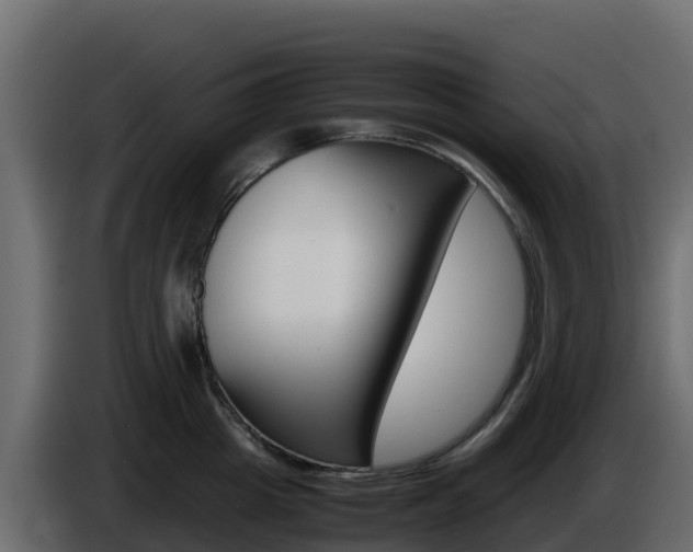 X0000086030857200703230953
