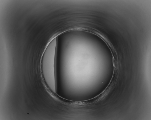 X0000086030858200703230953
