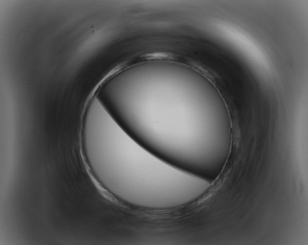 X0000086030861200703230953