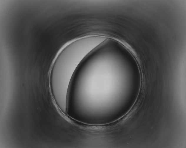 X0000086030862200703230953