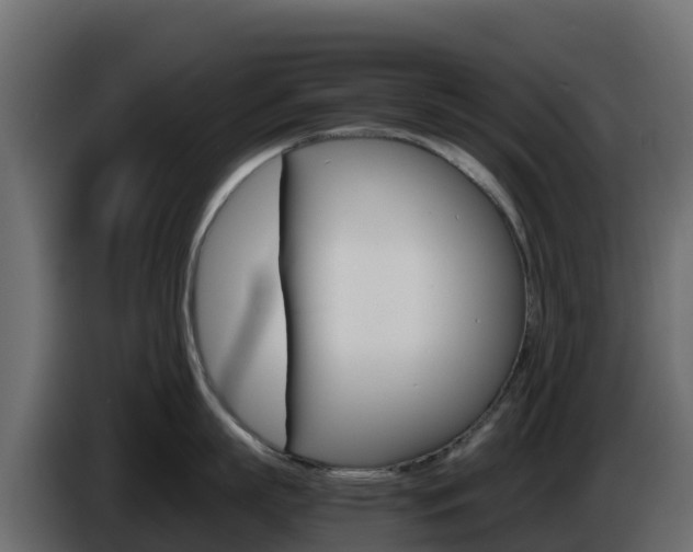 X0000086030863200703230953