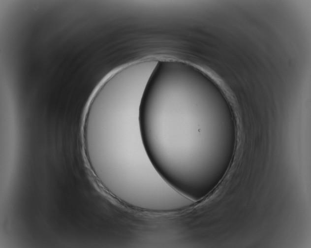 X0000086030864200703230953