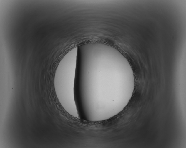 X0000086030865200703230952