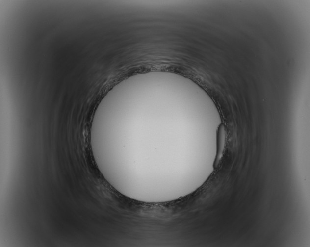 X0000086030866200703230952