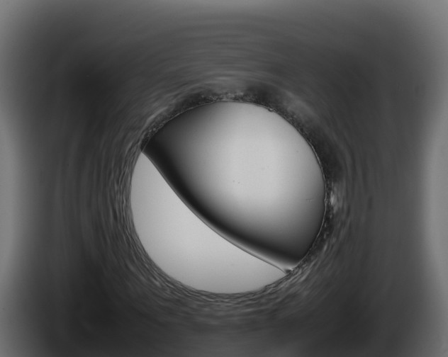 X0000086030867200703230952