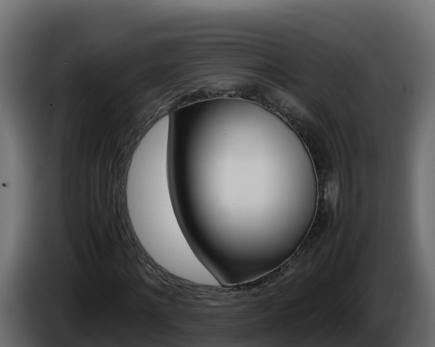 X0000086030868200703230952
