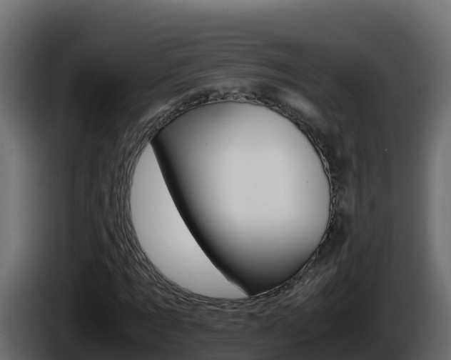 X0000086030869200703230952