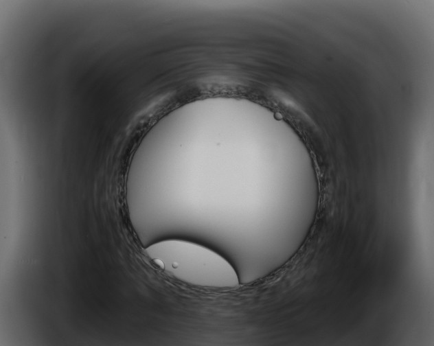 X0000086030870200703230952