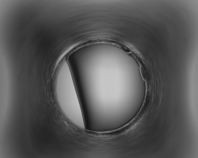 X0000086030877200703230952