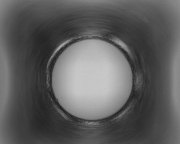 X0000086030878200703230952