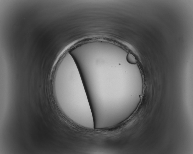 X0000086030879200703230952