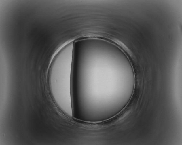 X0000086030885200703230952