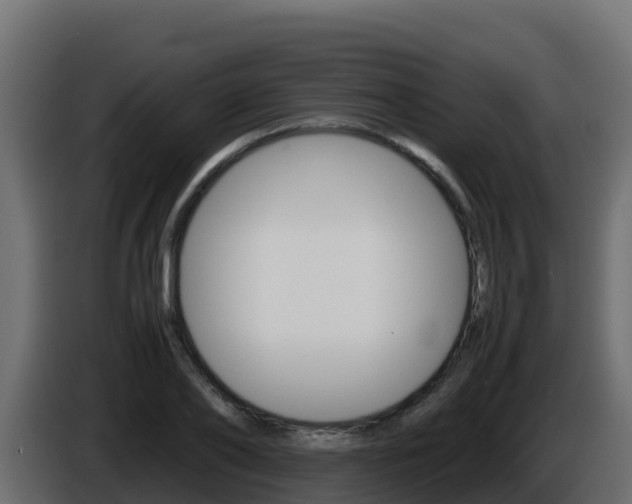 X0000086030886200703230952