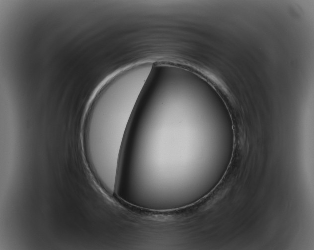 X0000086030888200703230952