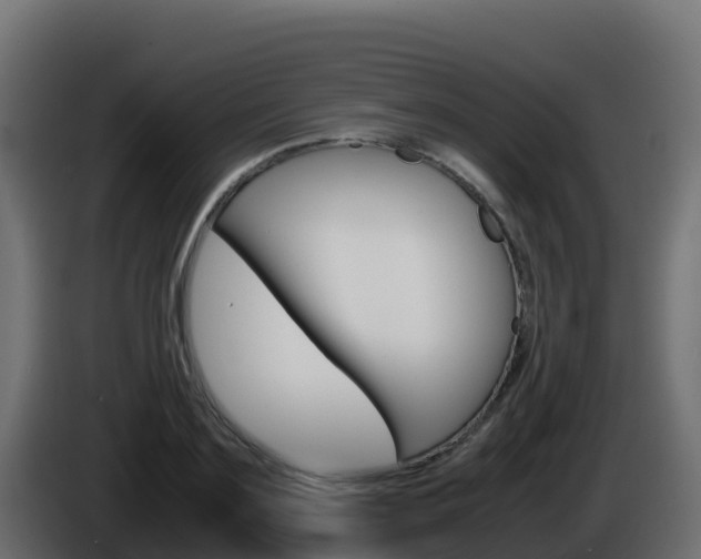 X0000086030891200703230952