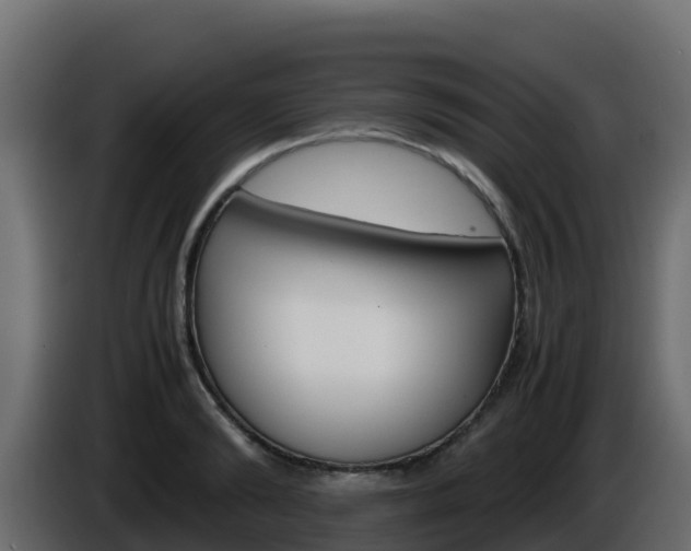 X0000086030894200703230952