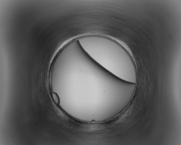 X0000086030895200703230952