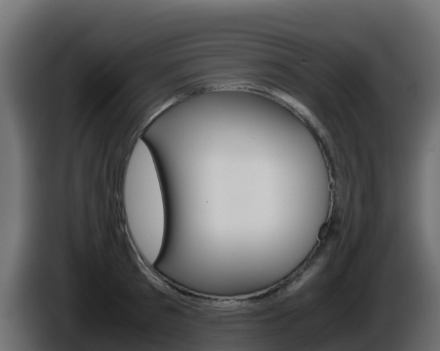 X0000086030897200703230952