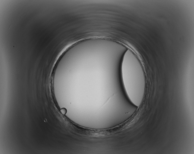 X0000086030899200703230952