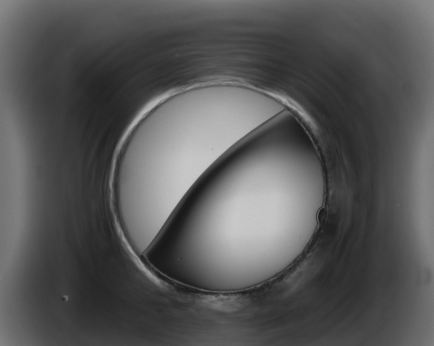 X0000086030902200703230952