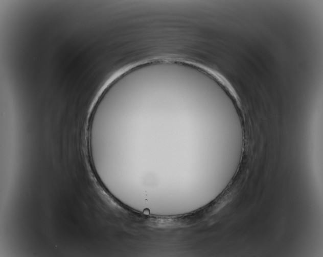X0000086030903200703230952
