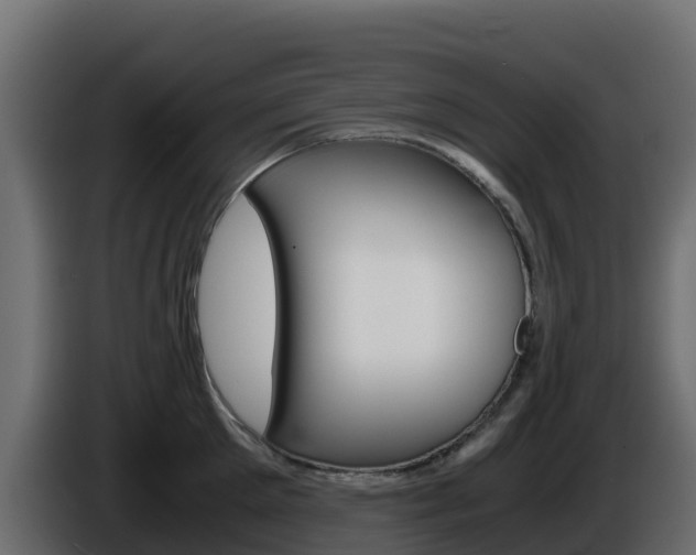 X0000086030905200703230952