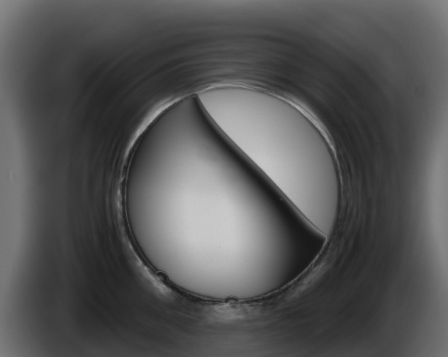 X0000086030906200703230952